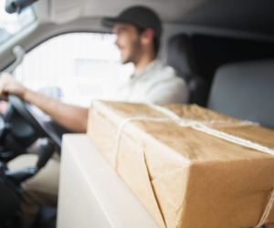 PACKAGE DELIVERY (1)